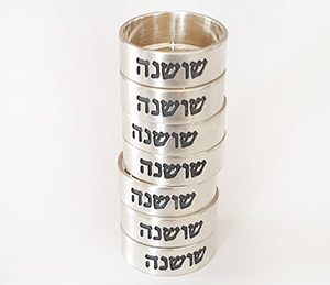 2 טבעות חברות עברית